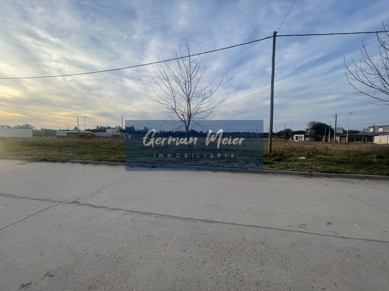  SE VENDEN 3 LOTES EN ZONA BORGES Y FRANCIA 