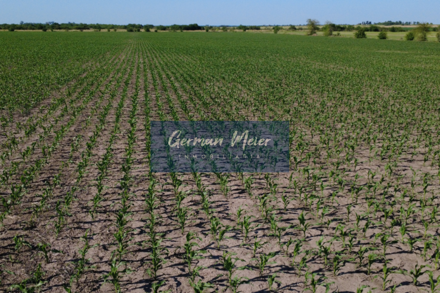 VENTA - CAMPO SOBRE RUTA EN SEGUI 