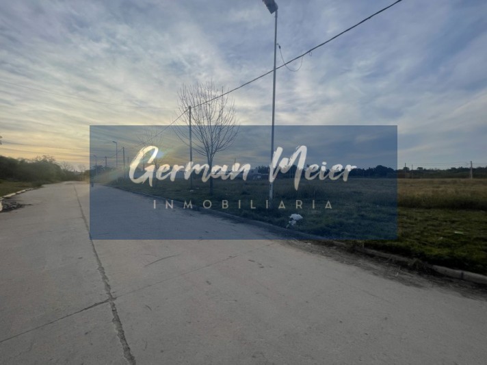  SE VENDEN 3 LOTES EN ZONA BORGES Y FRANCIA 
