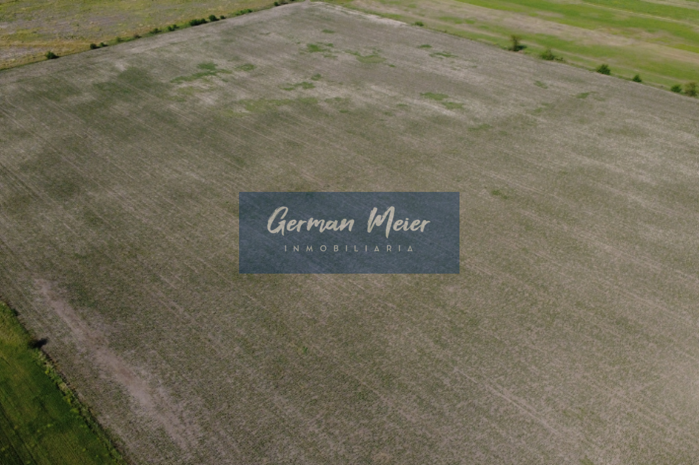 VENTA - CAMPO SOBRE RUTA EN SEGUI 